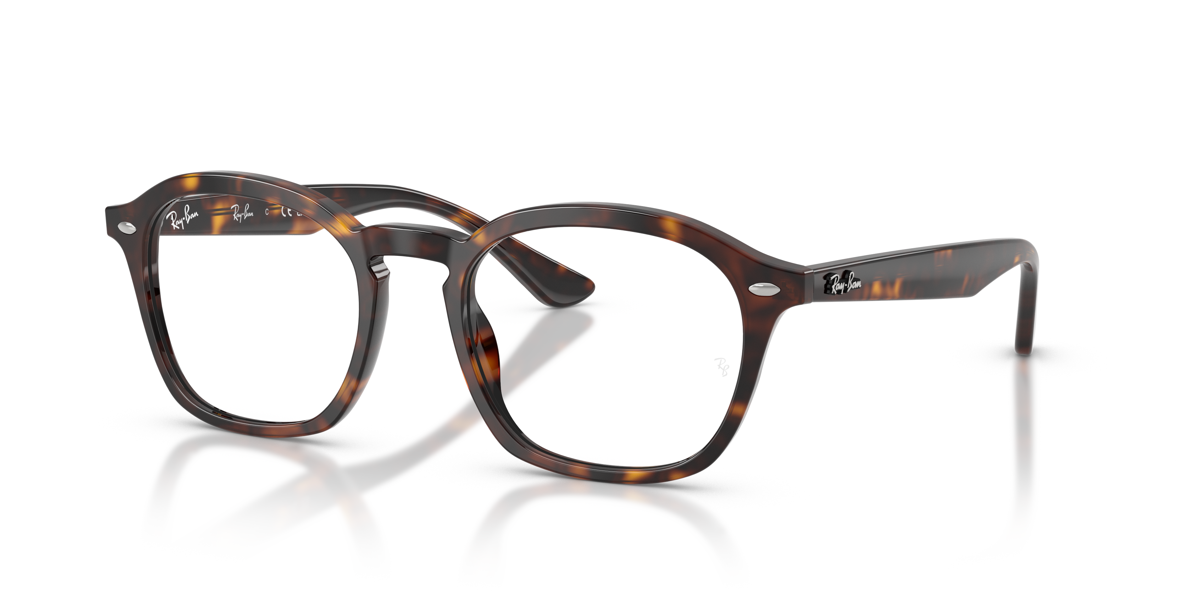 Ray-Ban RX5451 2012  